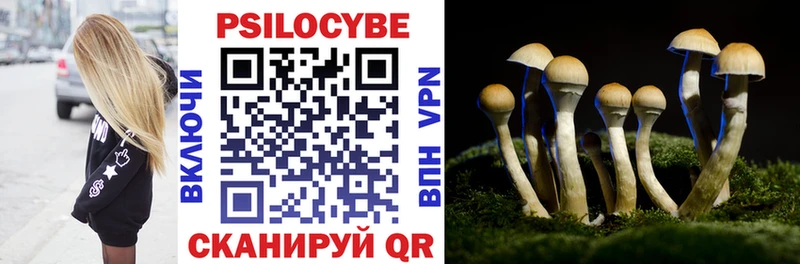наркошоп  Киров  Галлюциногенные грибы Cubensis 